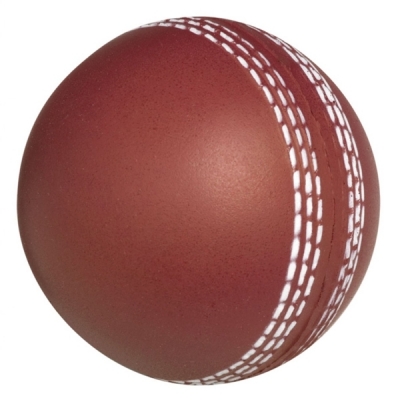 Cricket balls